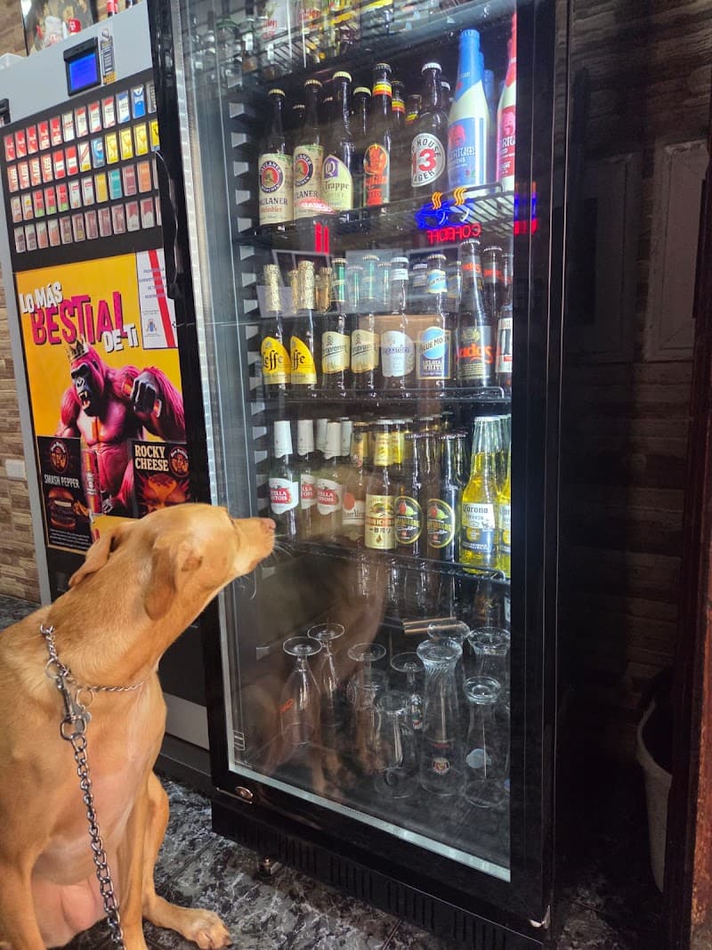 Don Pollito - bar para ver fútbol en Santa Cruz de Tenerife